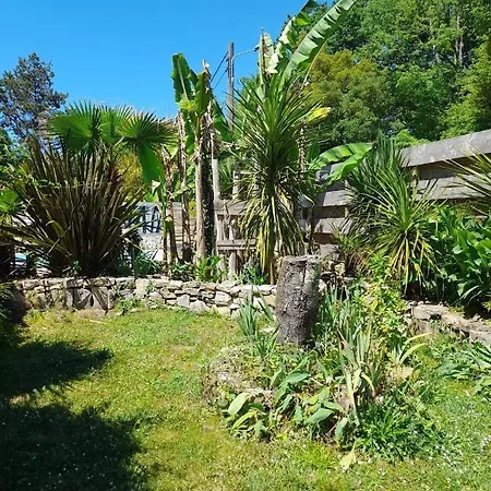 Carwyns Surf House Hostel